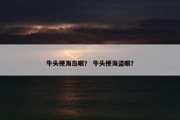 牛头梗海岛眼？ 牛头梗海盗眼？