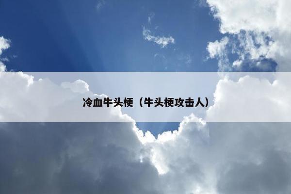 冷血牛头梗（牛头梗攻击人）