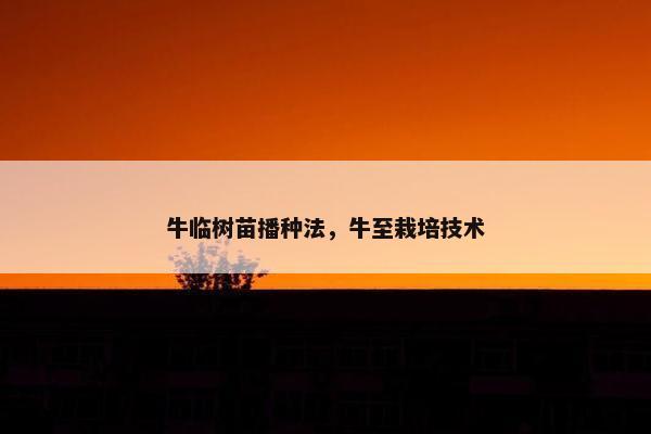 牛临树苗播种法，牛至栽培技术