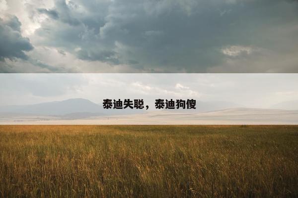 泰迪失聪，泰迪狗傻