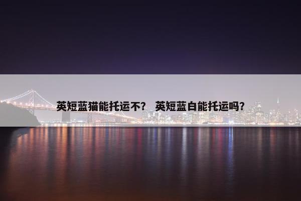 英短蓝猫能托运不？ 英短蓝白能托运吗？