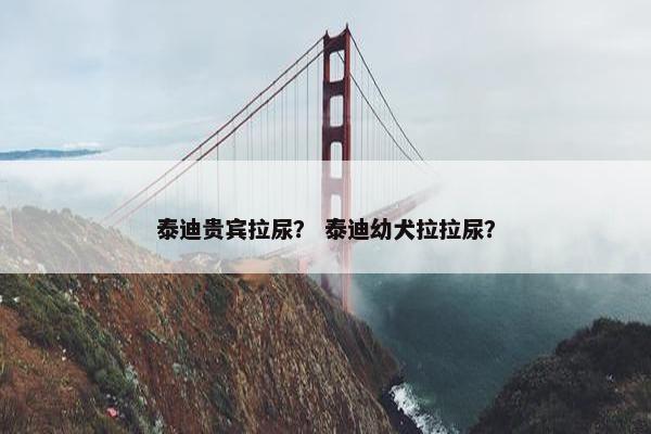 泰迪贵宾拉尿？ 泰迪幼犬拉拉尿？