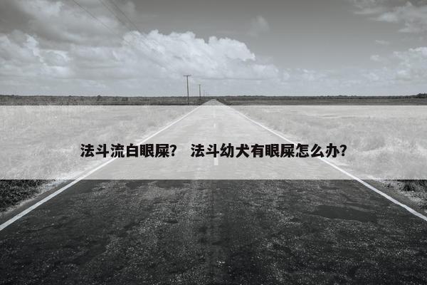 法斗流白眼屎？ 法斗幼犬有眼屎怎么办？