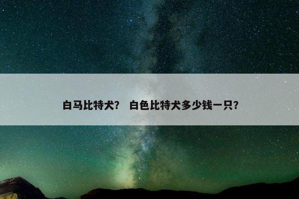 白马比特犬？ 白色比特犬多少钱一只？