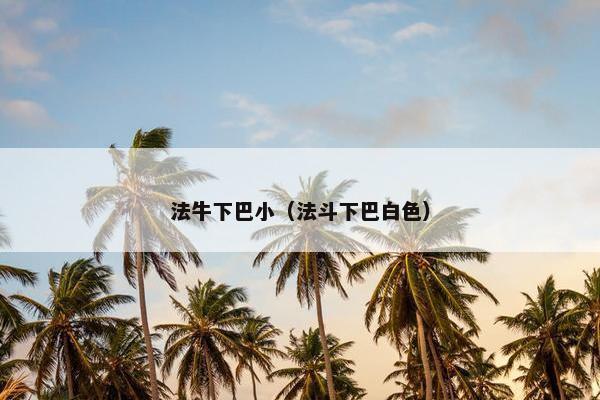 法牛下巴小（法斗下巴白色）
