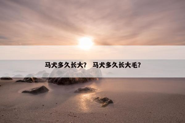 马犬多久长大？ 马犬多久长大毛？