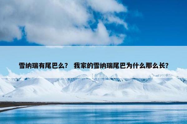雪纳瑞有尾巴么？ 我家的雪纳瑞尾巴为什么那么长？