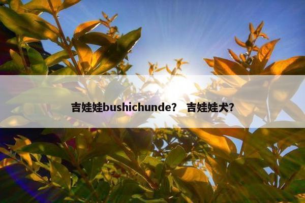 吉娃娃bushichunde？ 吉娃娃犬？