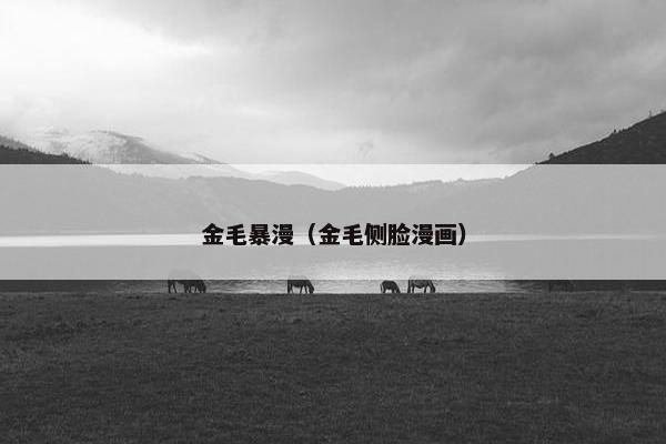 金毛暴漫（金毛侧脸漫画）