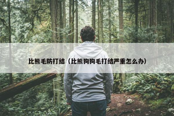 比熊毛防打结（比熊狗狗毛打结严重怎么办）
