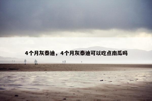 4个月灰泰迪，4个月灰泰迪可以吃点南瓜吗