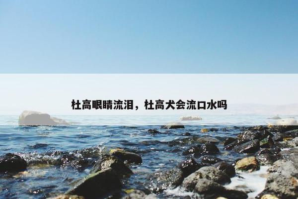 杜高眼睛流泪，杜高犬会流口水吗