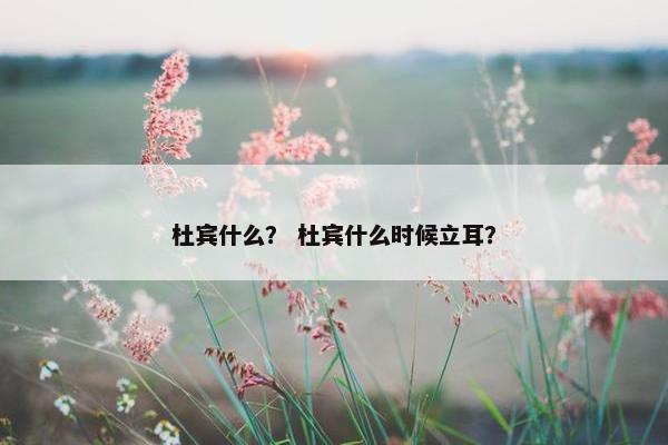 杜宾什么？ 杜宾什么时候立耳？