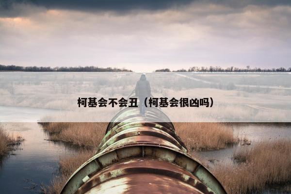 柯基会不会丑（柯基会很凶吗）