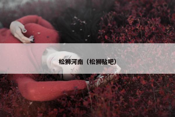 松狮河南（松狮贴吧）