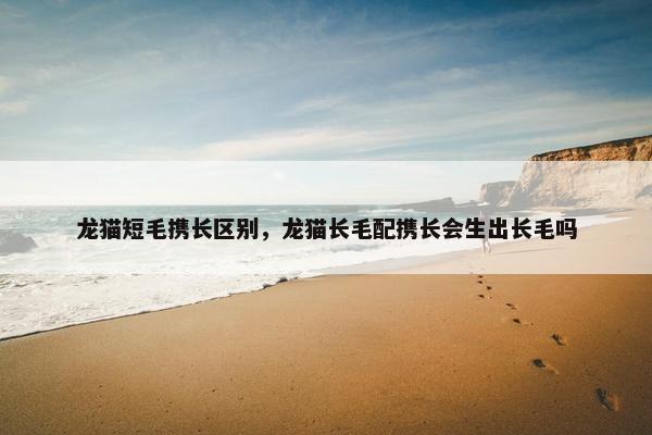 龙猫短毛携长区别，龙猫长毛配携长会生出长毛吗