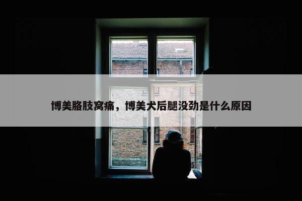 博美胳肢窝痛，博美犬后腿没劲是什么原因