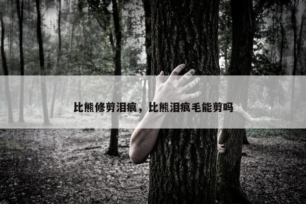 比熊修剪泪痕，比熊泪痕毛能剪吗