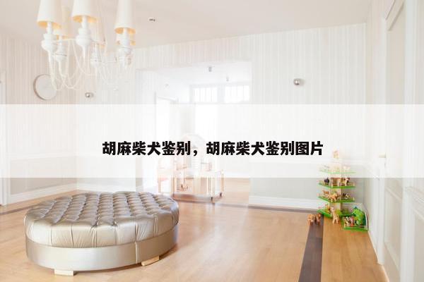 胡麻柴犬鉴别，胡麻柴犬鉴别图片