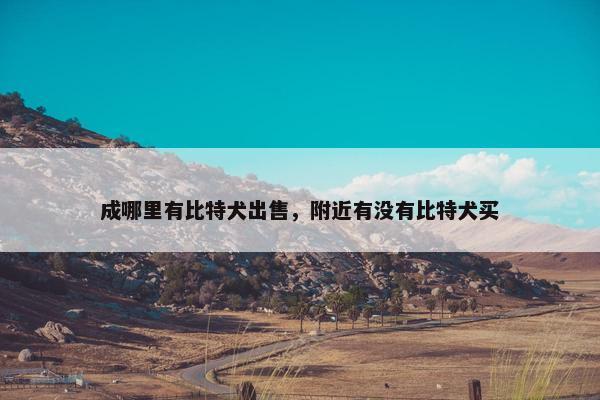 成哪里有比特犬出售，附近有没有比特犬买