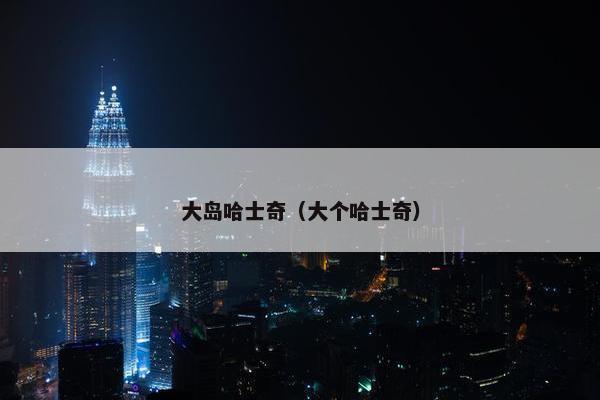 大岛哈士奇（大个哈士奇）