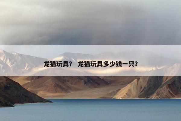 龙猫玩具？ 龙猫玩具多少钱一只？