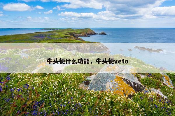 牛头梗什么功能，牛头梗veto