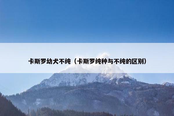 卡斯罗幼犬不纯（卡斯罗纯种与不纯的区别）