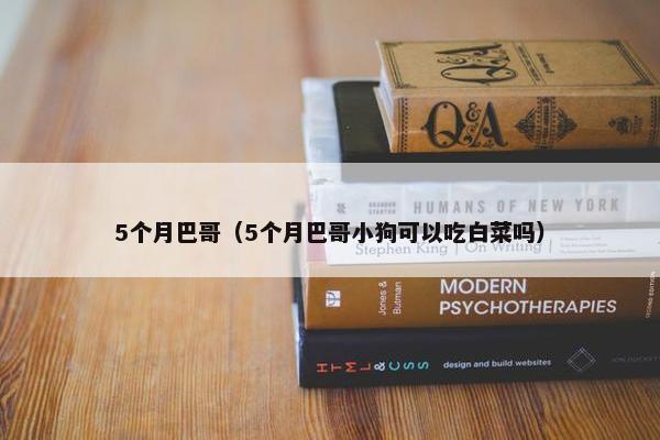 5个月巴哥（5个月巴哥小狗可以吃白菜吗）