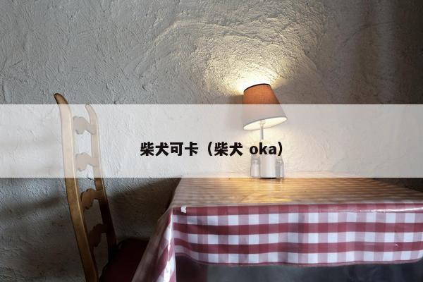 柴犬可卡（柴犬 oka）