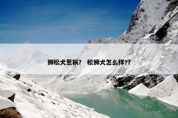 狮松犬惹祸？ 松狮犬怎么样?？