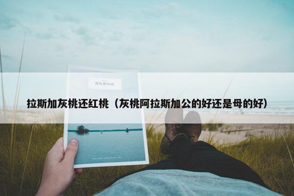 拉斯加灰桃还红桃（灰桃阿拉斯加公的好还是母的好）