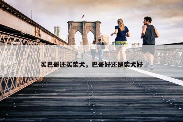 买巴哥还买柴犬，巴哥好还是柴犬好