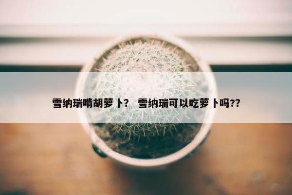 雪纳瑞啃胡萝卜？ 雪纳瑞可以吃萝卜吗?？