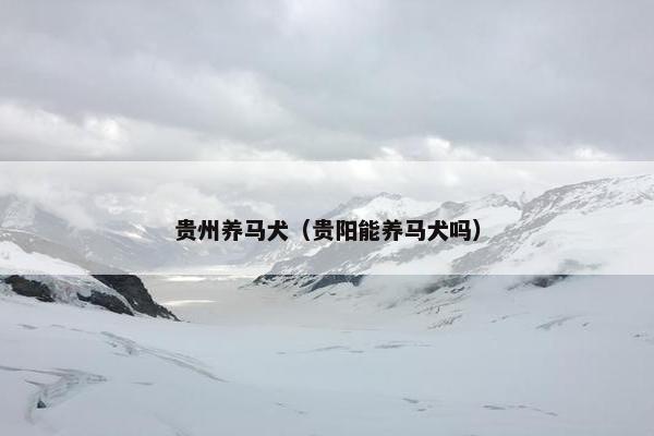贵州养马犬（贵阳能养马犬吗）