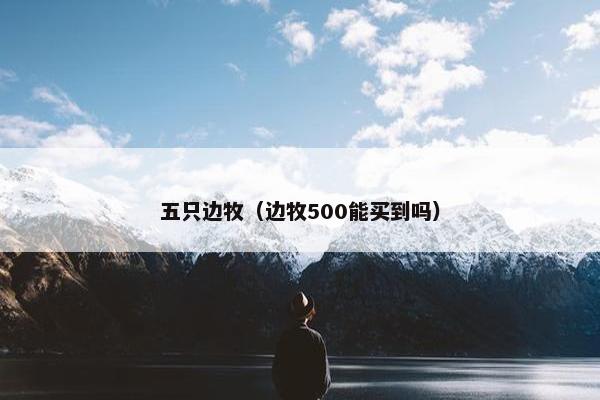 五只边牧（边牧500能买到吗）