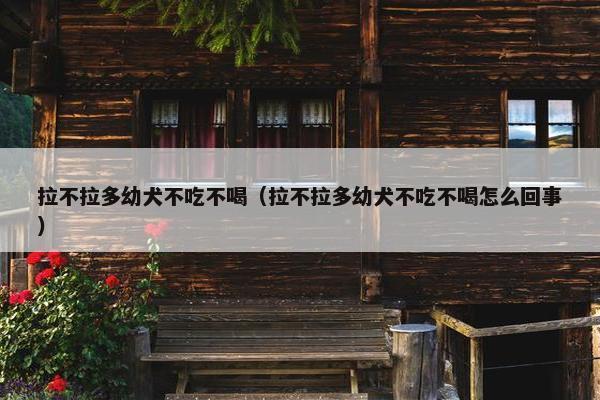 拉不拉多幼犬不吃不喝（拉不拉多幼犬不吃不喝怎么回事）