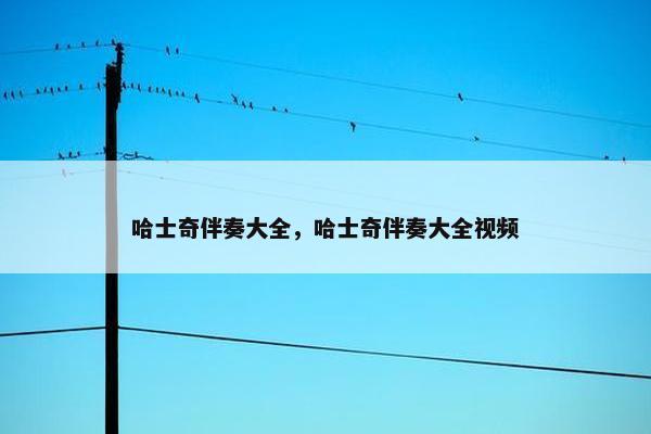 哈士奇伴奏大全，哈士奇伴奏大全视频