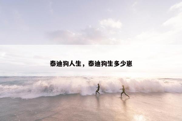 泰迪狗人生，泰迪狗生多少崽