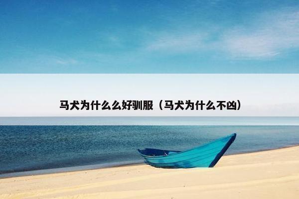 马犬为什么么好驯服（马犬为什么不凶）