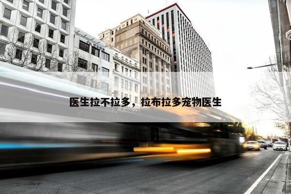 医生拉不拉多，拉布拉多宠物医生