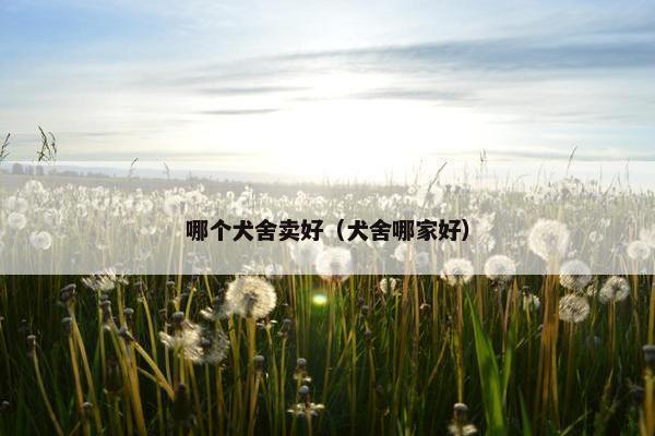 哪个犬舍卖好（犬舍哪家好）