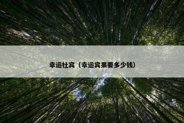 幸运杜宾（幸运宾果要多少钱）