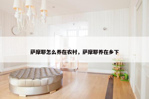 萨摩耶怎么养在农村，萨摩耶养在乡下