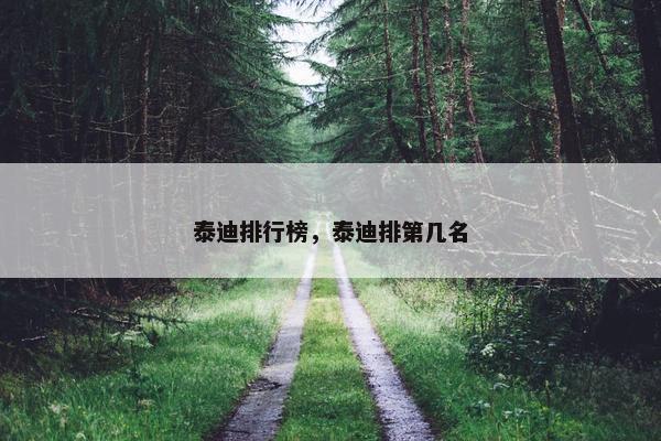 泰迪排行榜，泰迪排第几名