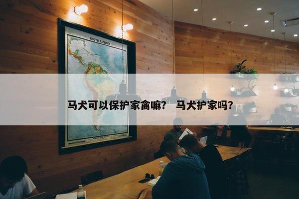 马犬可以保护家禽嘛？ 马犬护家吗？