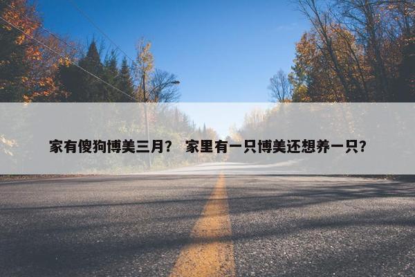 家有傻狗博美三月？ 家里有一只博美还想养一只？