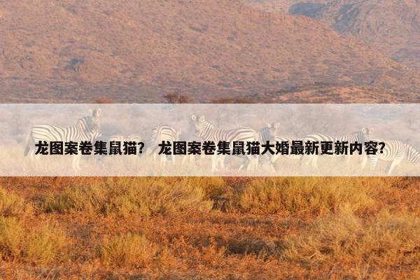 龙图案卷集鼠猫？ 龙图案卷集鼠猫大婚最新更新内容？
