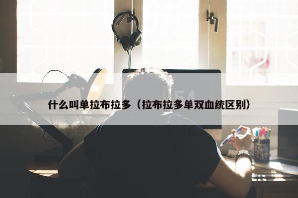 什么叫单拉布拉多（拉布拉多单双血统区别）