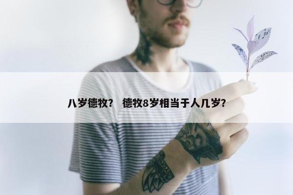 八岁德牧？ 德牧8岁相当于人几岁？